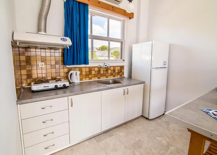 Theodora Apartment Avía