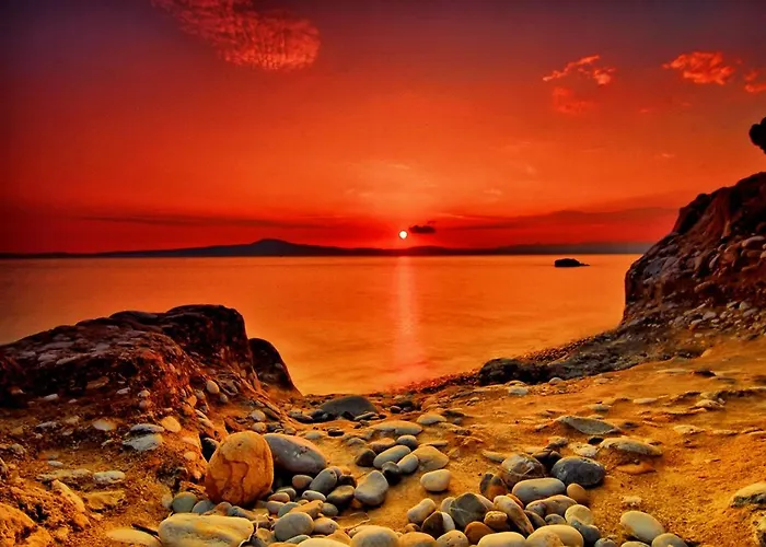 Apartament Theodora Avía